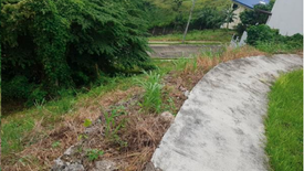 Land for sale in Lagtang, Cebu