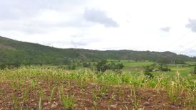 Land for sale in Oringao, Negros Occidental