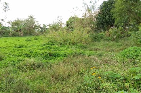 Land for sale in Asisan, Cavite