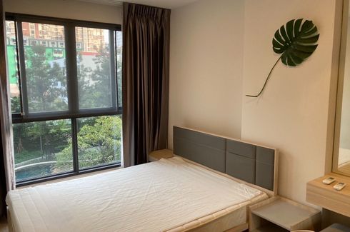 1 Bedroom Condo for Sale or Rent in IDEO O2, Bang Na, Bangkok near BTS Bang Na