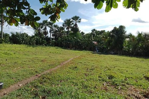 Land for sale in San Vicente, Cebu