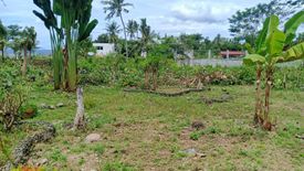 Land for sale in Poblacion, Cebu