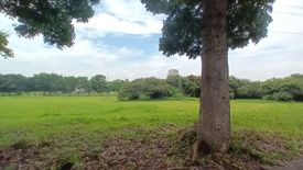 Land for sale in Cabilang Baybay, Cavite