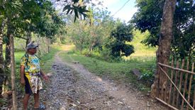 Land for sale in Agpudlos, Romblon