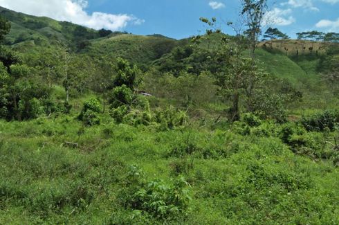 Land for sale in Canayan, Bukidnon