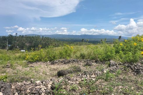 Land for sale in Butong, Cebu