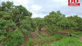 ขายที่ดิน ใน ยุหว่า, สันป่าตอง