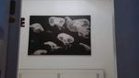 1 Bedroom Condo for rent in Asian Mansion II, San Lorenzo, Metro Manila