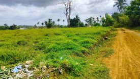 Land for sale in Lomangog, Bohol