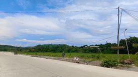 Land for sale in Dinginan, Capiz