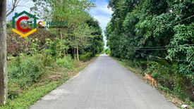 Land for sale in Santiago, Pampanga