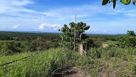 Land for sale in Sandoval, Palawan