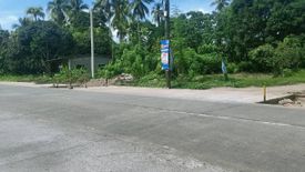 Land for sale in Mambago-A, Davao del Norte