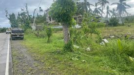 Land for sale in Maslog, Southern Leyte