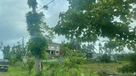 Land for sale in Maslog, Southern Leyte