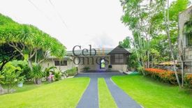 5 Bedroom House for rent in Banilad, Cebu