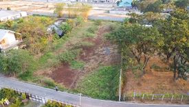 Land for sale in Nong Phueng, Chiang Mai