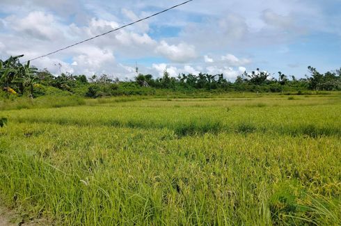 Land for sale in Ubay, Bohol