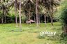 Land for sale in Babussalam, West Nusa Tenggara