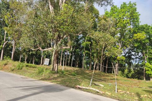 Land for sale in Dampas, Bohol