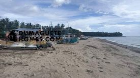 Land for sale in Casala-An, Negros Oriental
