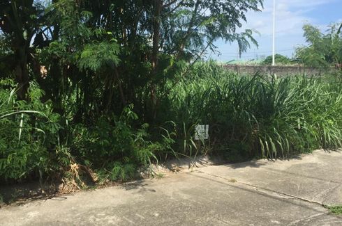 Land for sale in Timbao, Laguna