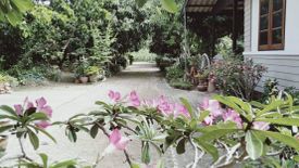 Land for sale in Han Kaeo, Chiang Mai
