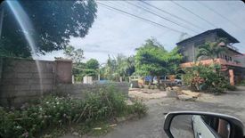 Land for sale in Talomo, Davao del Sur