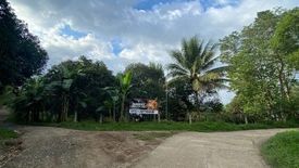 Land for sale in Calabnugan, Negros Oriental
