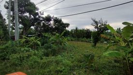 Land for sale in Liong, Cebu