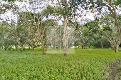 Land for sale in Bio-Os, Negros Oriental