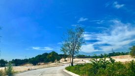 Land for sale in Tawason, Cebu