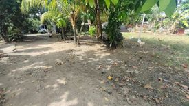 Land for sale in Poblacion, Cebu