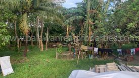 Land for sale in Villa Libertad, Palawan