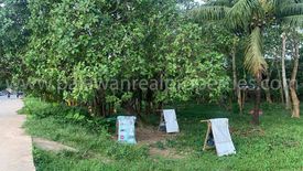 Land for sale in Villa Libertad, Palawan