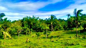 Land for sale in Luksuhin Ilaya, Cavite