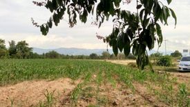 Land for sale in Mae Tha, Lampang