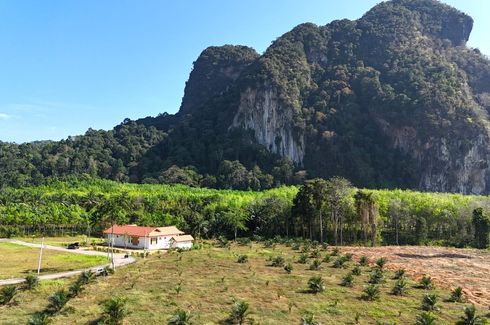 ขายที่ดิน ใน อ่าวนาง, เมืองกระบี่