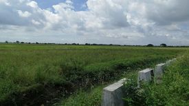 Land for sale in Balucuc, Pampanga