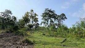 Land for sale in Tha Yu, Phang Nga