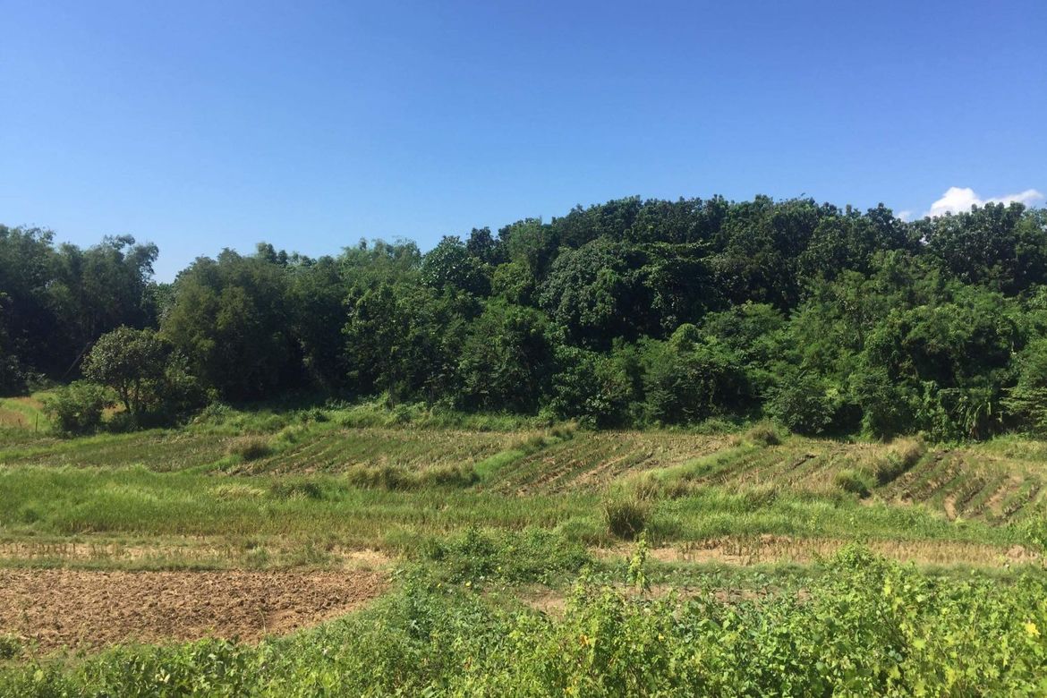 3.9 Hectares Farm Land, Anda, Pangasinan 📌 Land for sale in Pangasinan Dot Property