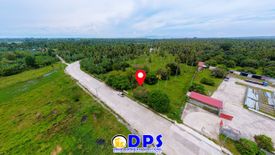 Land for sale in Bunawan, Davao del Sur