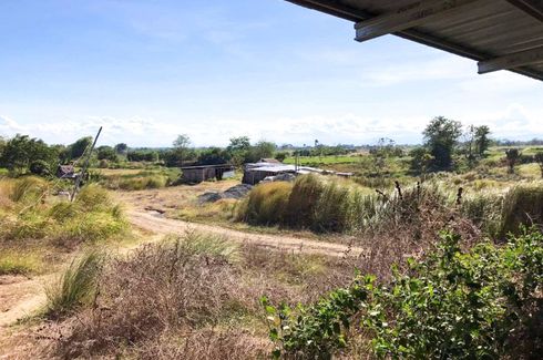 Land for sale in Cabiangan, Nueva Ecija