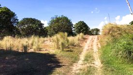 Land for sale in Cabiangan, Nueva Ecija