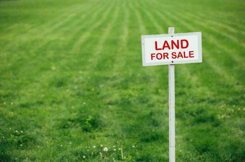 Land for sale in Santa Cruz, Tarlac