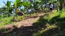 Land for sale in Balagnan, Misamis Oriental