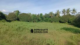 Land for sale in Tunga-Tunga, Negros Oriental