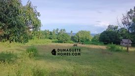 Land for sale in Tunga-Tunga, Negros Oriental