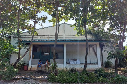 Commercial for sale in Calaocan, Pangasinan