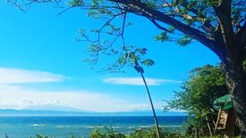 Land for sale in Bitoon, Cebu